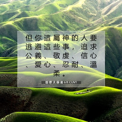Picture 07 - 提 摩 太 前 書 6:11 CUVT - 但 你 這 屬 神 的 人 要 逃 避 這 些 - Bible Verse Picture