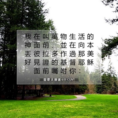 Picture 07 - 提 摩 太 前 書 6:13 CUVT - 我 在 叫 萬 物 生 活 的 神 面 前 ， - Bible Verse Picture