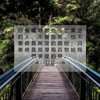 Picture 07 - 提 摩 太 前 書 6:17 CUVT - 你 要 囑 咐 那 些 今 世 富 足 的 人 - Bible Verse Picture