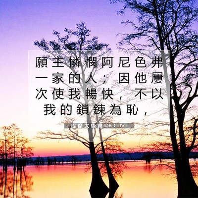 Picture 07 - 提 摩 太 後 書 1:16 CUVT - 願 主 憐 憫 阿 尼 色 弗 一 家 的 人 - Bible Verse Picture