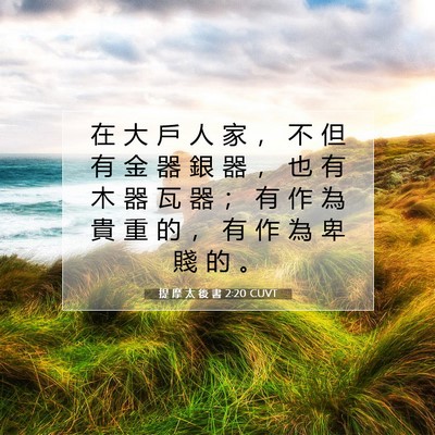 Picture 07 - 提 摩 太 後 書 2:20 CUVT - 在 大 戶 人 家 ， 不 但 有 金 器 銀 - Bible Verse Picture