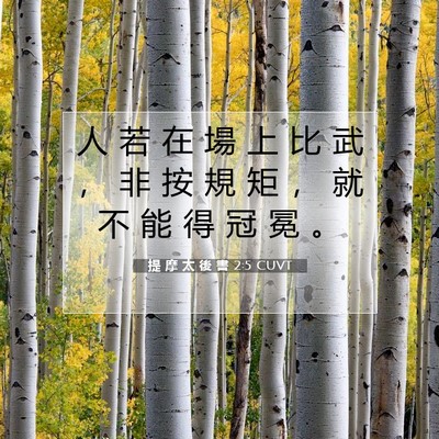 Picture 07 - 提 摩 太 後 書 2:5 CUVT - 人 若 在 場 上 比 武 ， 非 按 規 矩 - Bible Verse Picture
