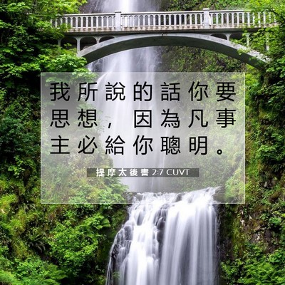 Picture 07 - 提 摩 太 後 書 2:7 CUVT - 我 所 說 的 話 你 要 思 想 ， 因 為 - Bible Verse Picture
