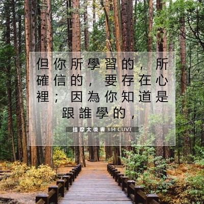 Picture 07 - 提 摩 太 後 書 3:14 CUVT - 但 你 所 學 習 的 ， 所 確 信 的 ， - Bible Verse Picture