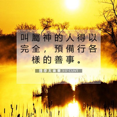 Picture 07 - 提 摩 太 後 書 3:17 CUVT - 叫 屬 神 的 人 得 以 完 全 ， 預 備 - Bible Verse Picture