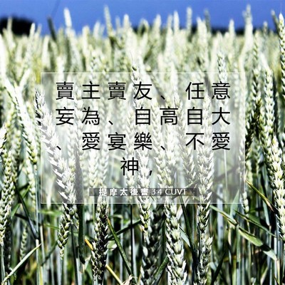 Picture 07 - 提 摩 太 後 書 3:4 CUVT - 賣 主 賣 友 、 任 意 妄 為 、 自 高 - Bible Verse Picture
