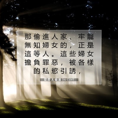 Picture 07 - 提 摩 太 後 書 3:6 CUVT - 那 偷 進 人 家 、 牢 籠 無 知 婦 女 - Bible Verse Picture