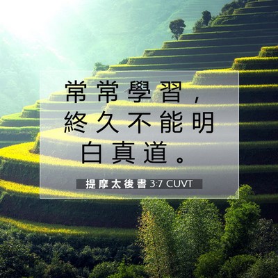 Picture 07 - 提 摩 太 後 書 3:7 CUVT - 常 常 學 習 ， 終 久 不 能 明 白 真 - Bible Verse Picture