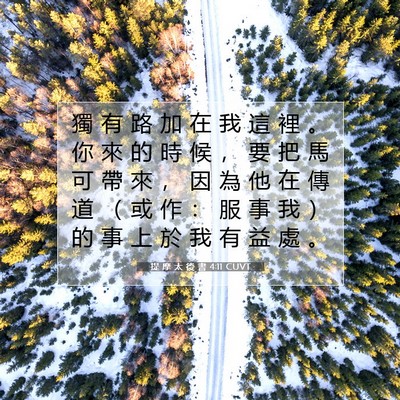 Picture 07 - 提 摩 太 後 書 4:11 CUVT - 獨 有 路 加 在 我 這 裡 。 你 來 的 - Bible Verse Picture