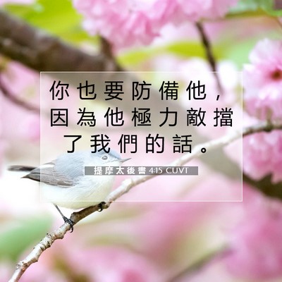 Picture 07 - 提 摩 太 後 書 4:15 CUVT - 你 也 要 防 備 他 ， 因 為 他 極 力 - Bible Verse Picture