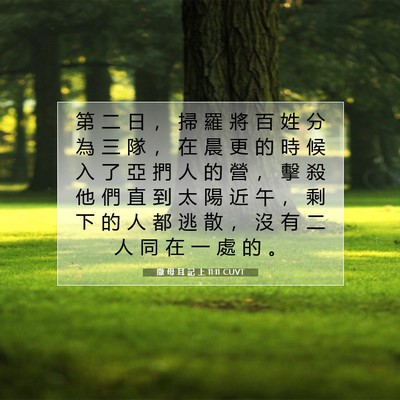 Picture 07 - 撒 母 耳 記 上 11:11 CUVT - 第 二 日 ， 掃 羅 將 百 姓 分 為 三 - Bible Verse Picture