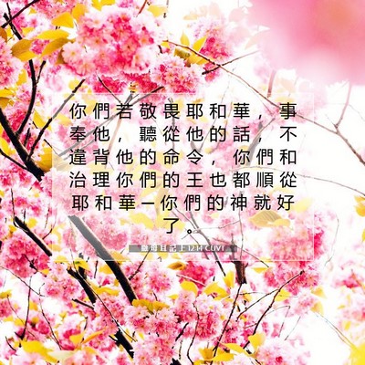 Picture 07 - 撒 母 耳 記 上 12:14 CUVT - 你 們 若 敬 畏 耶 和 華 ， 事 奉 他 - Bible Verse Picture