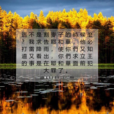 Picture 07 - 撒 母 耳 記 上 12:17 CUVT - 這 不 是 割 麥 子 的 時 候 麼 ？ 我 - Bible Verse Picture