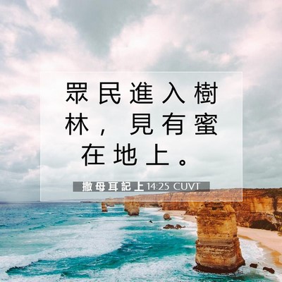 Picture 07 - 撒 母 耳 記 上 14:25 CUVT - 眾 民 進 入 樹 林 ， 見 有 蜜 在 地 - Bible Verse Picture
