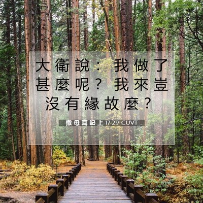 Picture 07 - 撒 母 耳 記 上 17:29 CUVT - 大 衛 說 ： 我 做 了 甚 麼 呢 ？ 我 - Bible Verse Picture