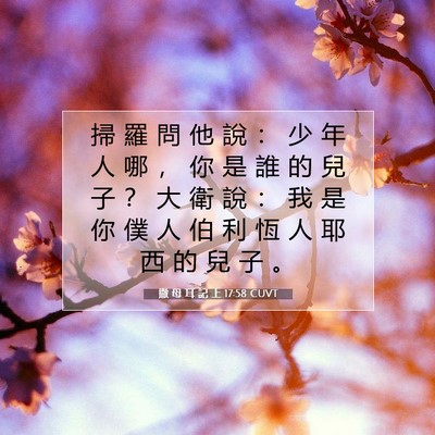 Picture 07 - 撒 母 耳 記 上 17:58 CUVT - 掃 羅 問 他 說 ： 少 年 人 哪 ， 你 - Bible Verse Picture