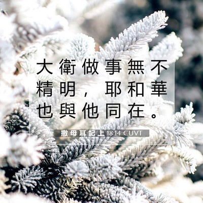 Picture 07 - 撒 母 耳 記 上 18:14 CUVT - 大 衛 做 事 無 不 精 明 ， 耶 和 華 - Bible Verse Picture
