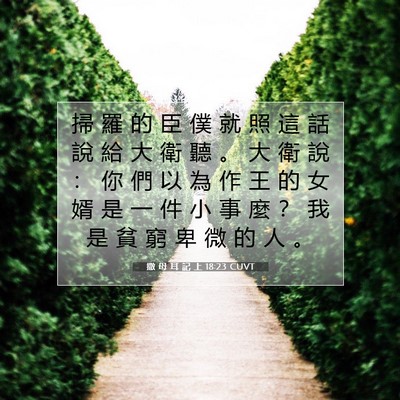 Picture 07 - 撒 母 耳 記 上 18:23 CUVT - 掃 羅 的 臣 僕 就 照 這 話 說 給 大 - Bible Verse Picture