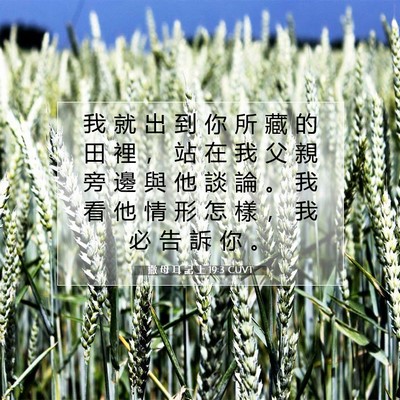 Picture 07 - 撒 母 耳 記 上 19:3 CUVT - 我 就 出 到 你 所 藏 的 田 裡 ， 站 - Bible Verse Picture