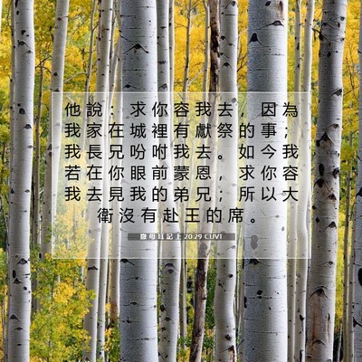 Picture 07 - 撒 母 耳 記 上 20:29 CUVT - 他 說 ： 求 你 容 我 去 ， 因 為 我 - Bible Verse Picture