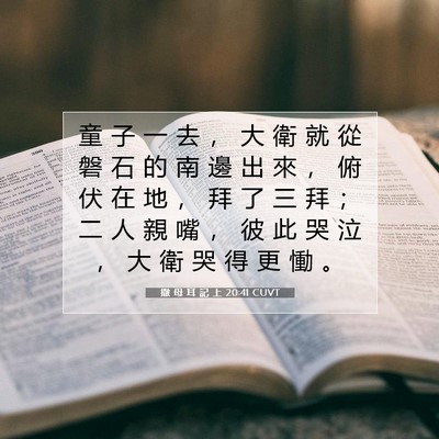 Picture 07 - 撒 母 耳 記 上 20:41 CUVT - 童 子 一 去 ， 大 衛 就 從 磐 石 的 - Bible Verse Picture