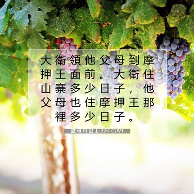 Picture 07 - 撒 母 耳 記 上 22:4 CUVT - 大 衛 領 他 父 母 到 摩 押 王 面 前 - Bible Verse Picture