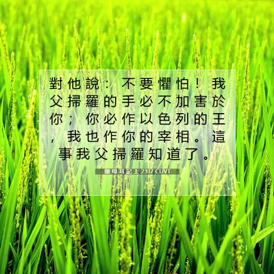 Picture 07 - 撒 母 耳 記 上 23:17 CUVT - 對 他 說 ： 不 要 懼 怕 ！ 我 父 掃 - Bible Verse Picture