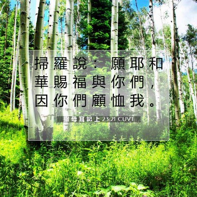 Picture 07 - 撒 母 耳 記 上 23:21 CUVT - 掃 羅 說 ： 願 耶 和 華 賜 福 與 你 - Bible Verse Picture