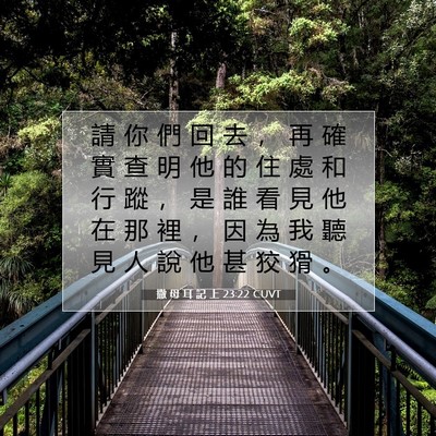 Picture 07 - 撒 母 耳 記 上 23:22 CUVT - 請 你 們 回 去 ， 再 確 實 查 明 他 - Bible Verse Picture