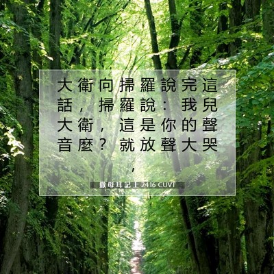 Picture 07 - 撒 母 耳 記 上 24:16 CUVT - 大 衛 向 掃 羅 說 完 這 話 ， 掃 羅 - Bible Verse Picture