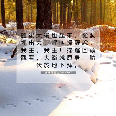 Picture 07 - 撒 母 耳 記 上 24:8 CUVT - 隨 後 大 衛 也 起 來 ， 從 洞 裡 出 - Bible Verse Picture