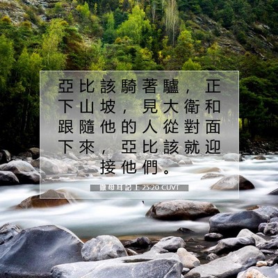 Picture 07 - 撒 母 耳 記 上 25:20 CUVT - 亞 比 該 騎 著 驢 ， 正 下 山 坡 ， - Bible Verse Picture