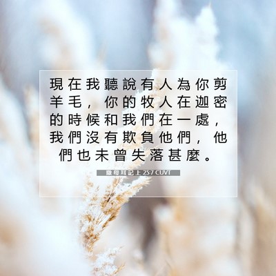 Picture 07 - 撒 母 耳 記 上 25:7 CUVT - 現 在 我 聽 說 有 人 為 你 剪 羊 毛 - Bible Verse Picture