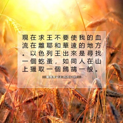 Picture 07 - 撒 母 耳 記 上 26:20 CUVT - 現 在 求 王 不 要 使 我 的 血 流 在 - Bible Verse Picture