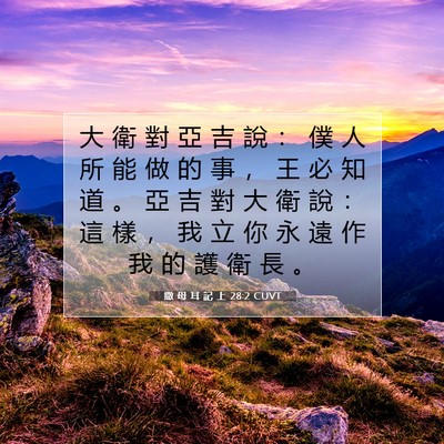 Picture 07 - 撒 母 耳 記 上 28:2 CUVT - 大 衛 對 亞 吉 說 ： 僕 人 所 能 做 - Bible Verse Picture