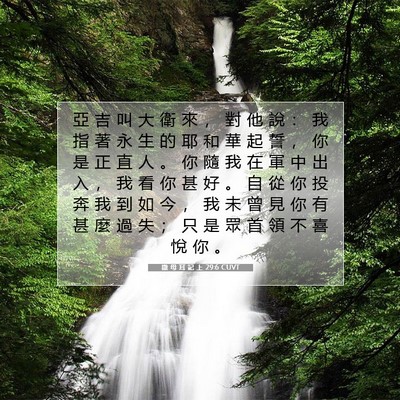 Picture 07 - 撒 母 耳 記 上 29:6 CUVT - 亞 吉 叫 大 衛 來 ， 對 他 說 ： 我 - Bible Verse Picture