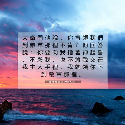 Picture 07 - 撒 母 耳 記 上 30:15 CUVT - 大 衛 問 他 說 ： 你 肯 領 我 們 到 - Bible Verse Picture