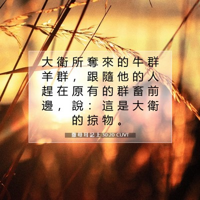 Picture 07 - 撒 母 耳 記 上 30:20 CUVT - 大 衛 所 奪 來 的 牛 群 羊 群 ， 跟 - Bible Verse Picture