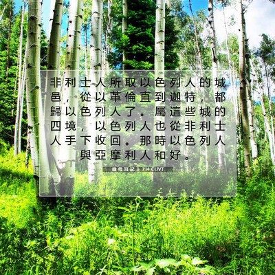 Picture 07 - 撒 母 耳 記 上 7:14 CUVT - 非 利 士 人 所 取 以 色 列 人 的 城 - Bible Verse Picture