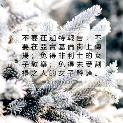 Picture 07 - 撒 母 耳 記 下 1:20 CUVT - 不 要 在 迦 特 報 告 ； 不 要 在 亞 - Bible Verse Picture