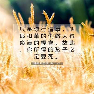 Picture 07 - 撒 母 耳 記 下 12:14 CUVT - 只 是 你 行 這 事 ， 叫 耶 和 華 的 - Bible Verse Picture