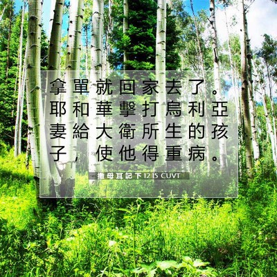 Picture 07 - 撒 母 耳 記 下 12:15 CUVT - 拿 單 就 回 家 去 了 。 耶 和 華 擊 - Bible Verse Picture