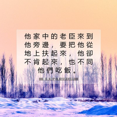 Picture 07 - 撒 母 耳 記 下 12:17 CUVT - 他 家 中 的 老 臣 來 到 他 旁 邊 ， - Bible Verse Picture