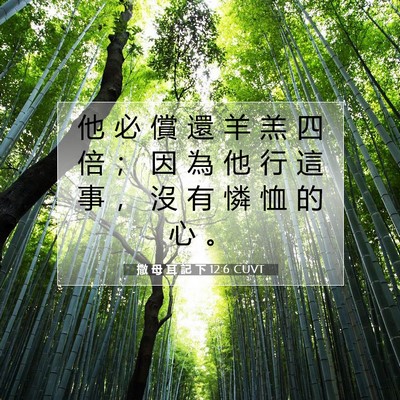 Picture 07 - 撒 母 耳 記 下 12:6 CUVT - 他 必 償 還 羊 羔 四 倍 ； 因 為 他 - Bible Verse Picture