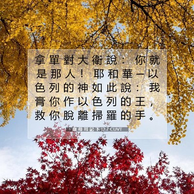 Picture 07 - 撒 母 耳 記 下 12:7 CUVT - 拿 單 對 大 衛 說 ： 你 就 是 那 人 - Bible Verse Picture