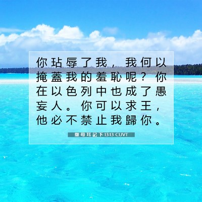 Picture 07 - 撒 母 耳 記 下 13:13 CUVT - 你 玷 辱 了 我 ， 我 何 以 掩 蓋 我 - Bible Verse Picture