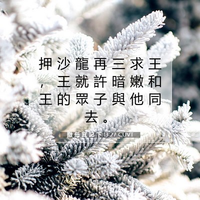 Picture 07 - 撒 母 耳 記 下 13:27 CUVT - 押 沙 龍 再 三 求 王 ， 王 就 許 暗 - Bible Verse Picture