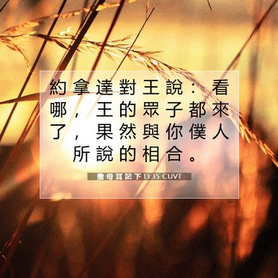 Picture 07 - 撒 母 耳 記 下 13:35 CUVT - 約 拿 達 對 王 說 ： 看 哪 ， 王 的 - Bible Verse Picture