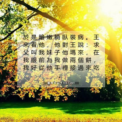 Picture 07 - 撒 母 耳 記 下 13:6 CUVT - 於 是 暗 嫩 躺 臥 裝 病 。 王 來 看 - Bible Verse Picture