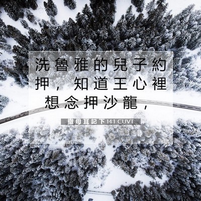 Picture 07 - 撒 母 耳 記 下 14:1 CUVT - 洗 魯 雅 的 兒 子 約 押 ， 知 道 王 - Bible Verse Picture